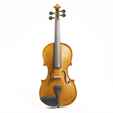 Load image into Gallery viewer, Stentor 1500A Violin
