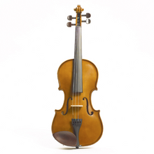 Load image into Gallery viewer, Stentor 1400A Violin
