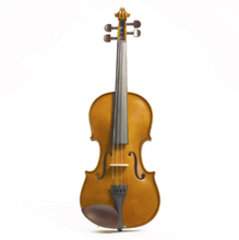 Load image into Gallery viewer, Stentor 1400A Violin