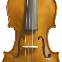 Load image into Gallery viewer, Stentor 1400A Violin