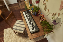 Load image into Gallery viewer, Casio LK-S250