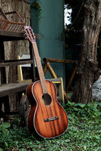 Load image into Gallery viewer, Cort AP550M Guitar