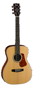 Cort L100C Guitar