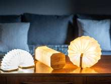 Load image into Gallery viewer, Gingko Smart Accordion Lamp