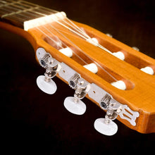 Load image into Gallery viewer, Custom Eagle Machine Heads, Classic Strips, 3 a side
