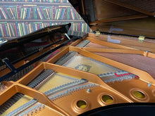 Load image into Gallery viewer, Close-up of the inside of a grand piano with a gold frame.
