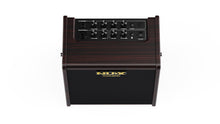 Load image into Gallery viewer, AC-25 Portable Battery-Operated Acoustic Amp
