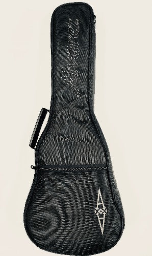 Alvarez deals gig bag